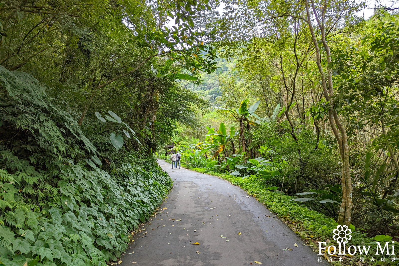 內洞國家森林遊樂區