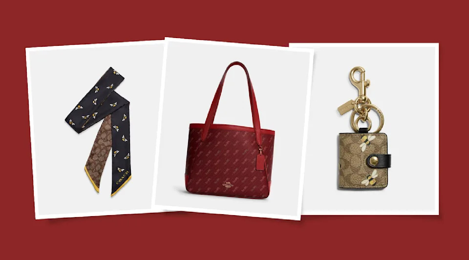 Las mejores ofertas en Correa Bolso Louis Vuitton