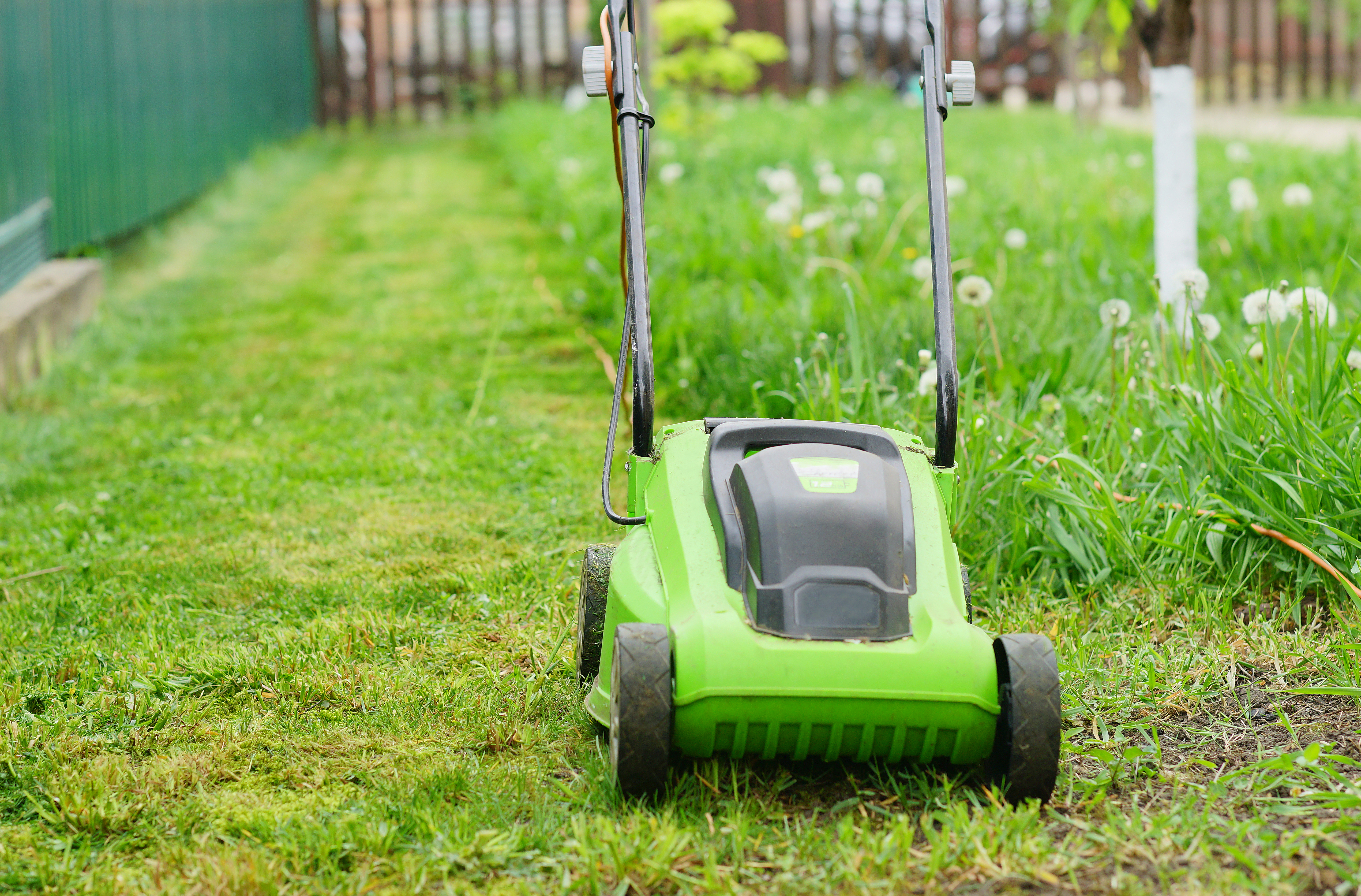 Lawn mower. Works in the garden. Spring season. Outdoor activity