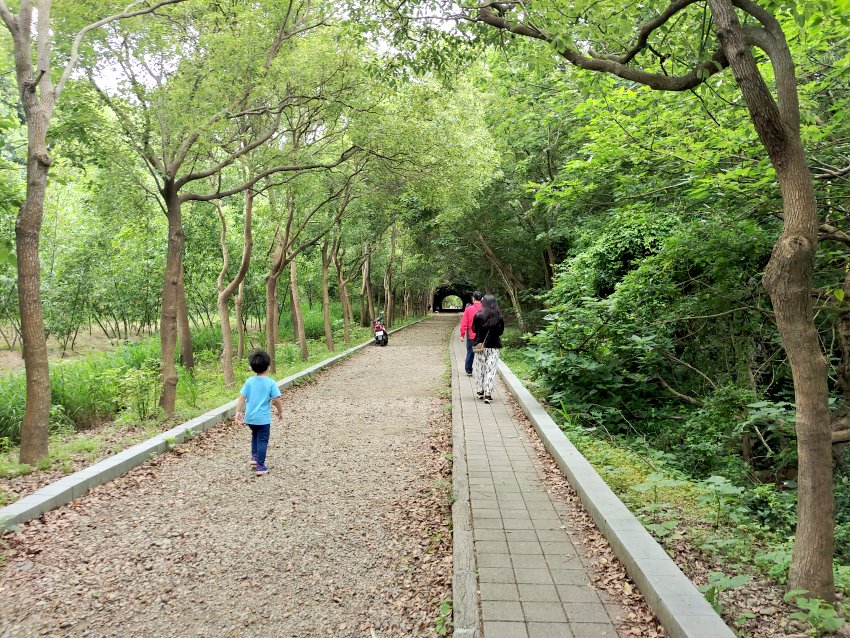 苗栗｜子母隧道、崎頂車站