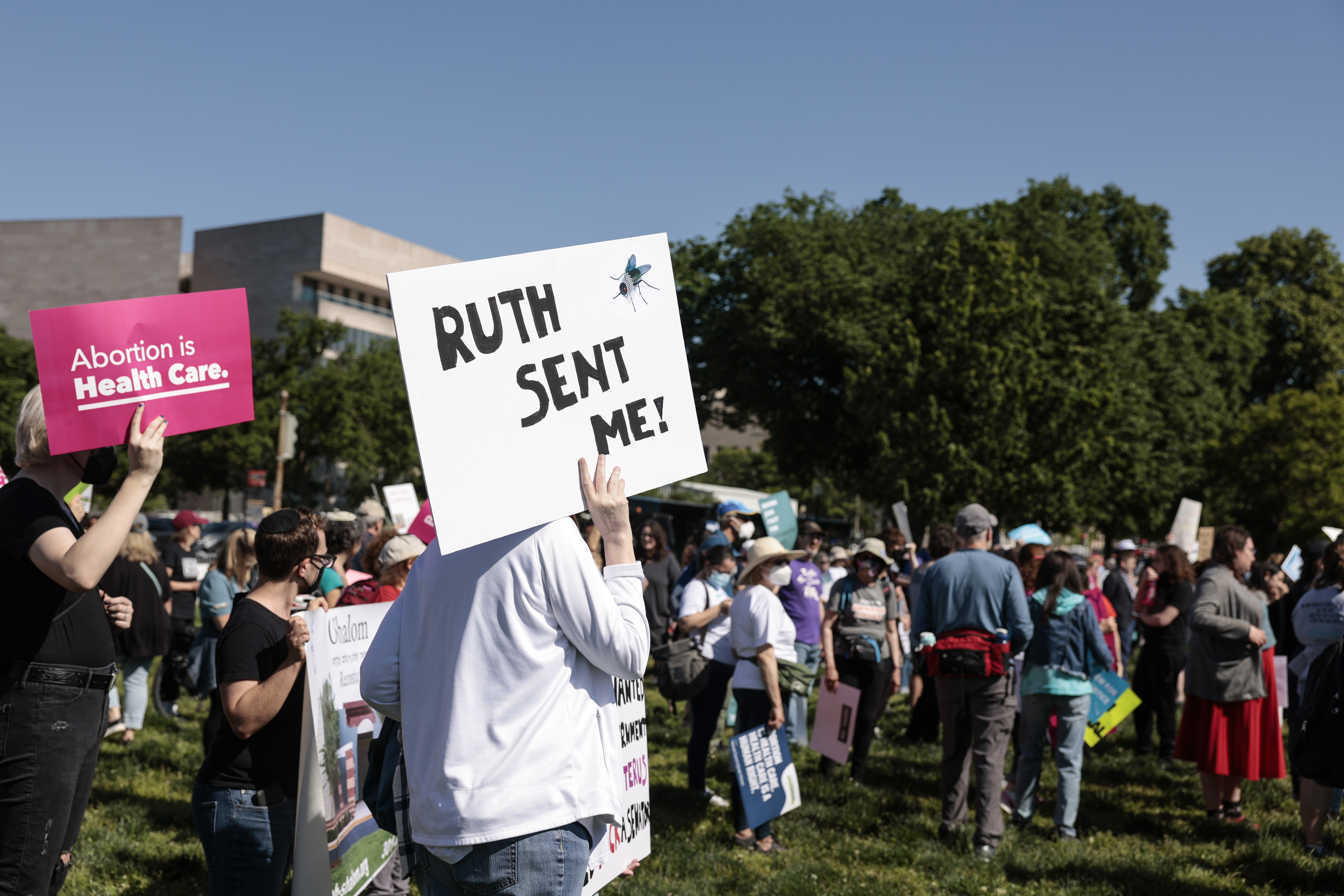 Senators ask Apple and Google to prohibit data collection that targets abortion seekers thumbnail