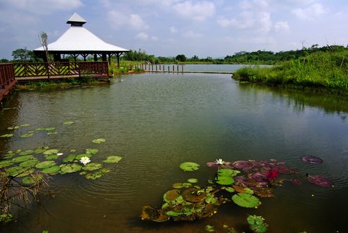 八德埤塘生態公園(Photo via Wikimedia, by Yes470818, License: CC0 1.0，圖片來源：https://zh.wikipedia.org/wiki/八德埤塘自然生態公園#/media/File:八德埤塘生態公園.jpg)