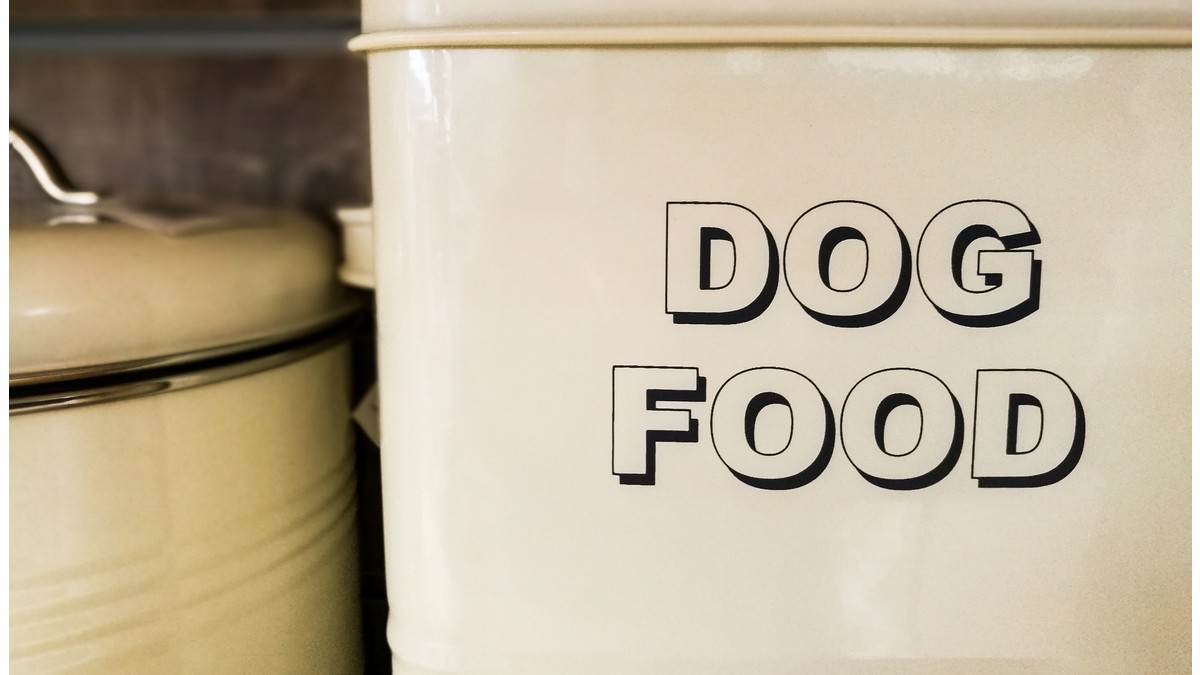 Best Dog Food Storage Container for 2022