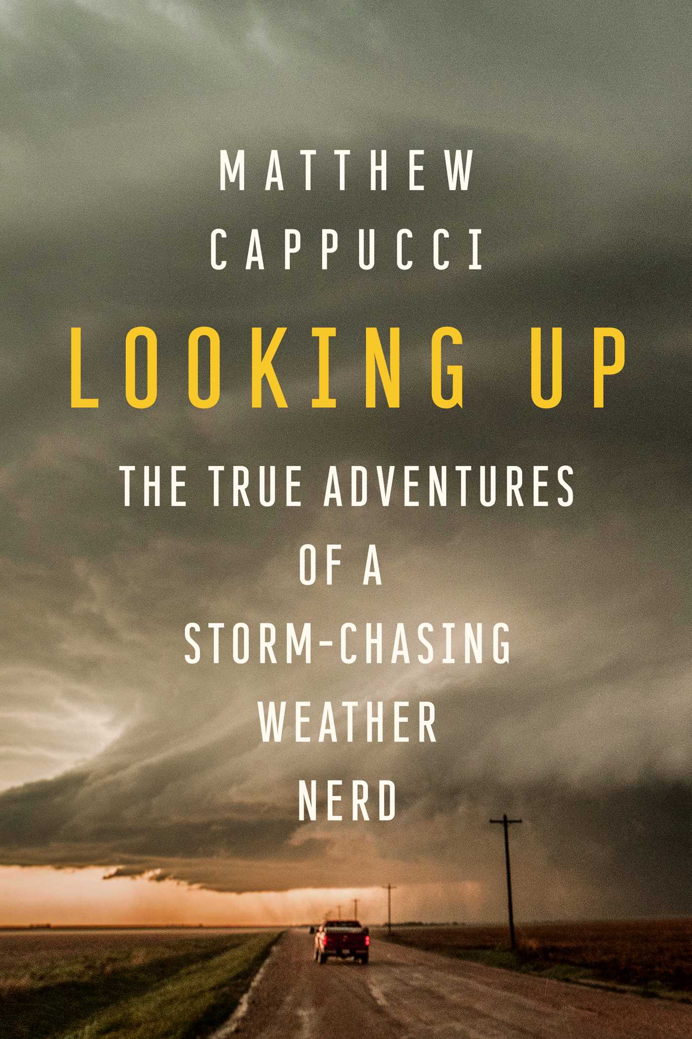 Looking Up cover