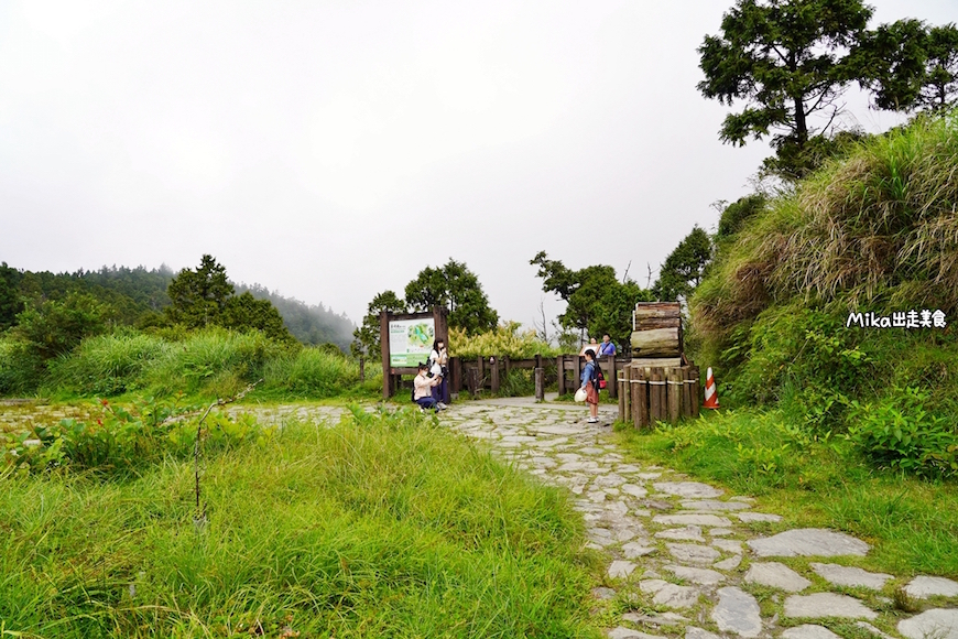 宜蘭｜太平山翠峰湖環山步道