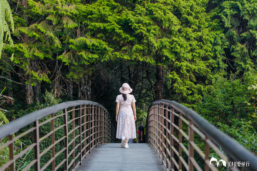 宜蘭｜太平山翠峰湖環山步道