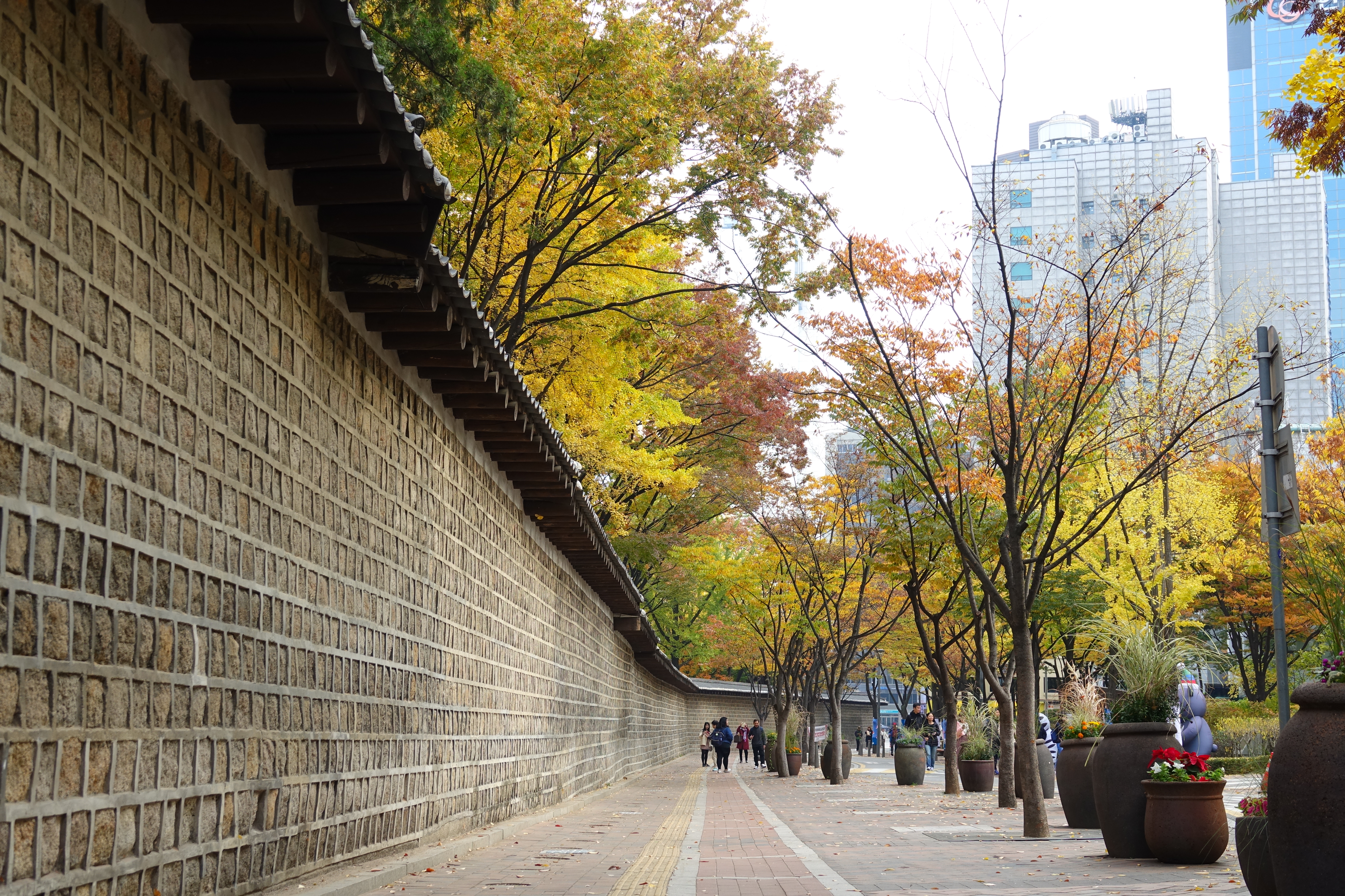 圖片來源：妮可魯的飛行日記 、去世界玩 說走就走