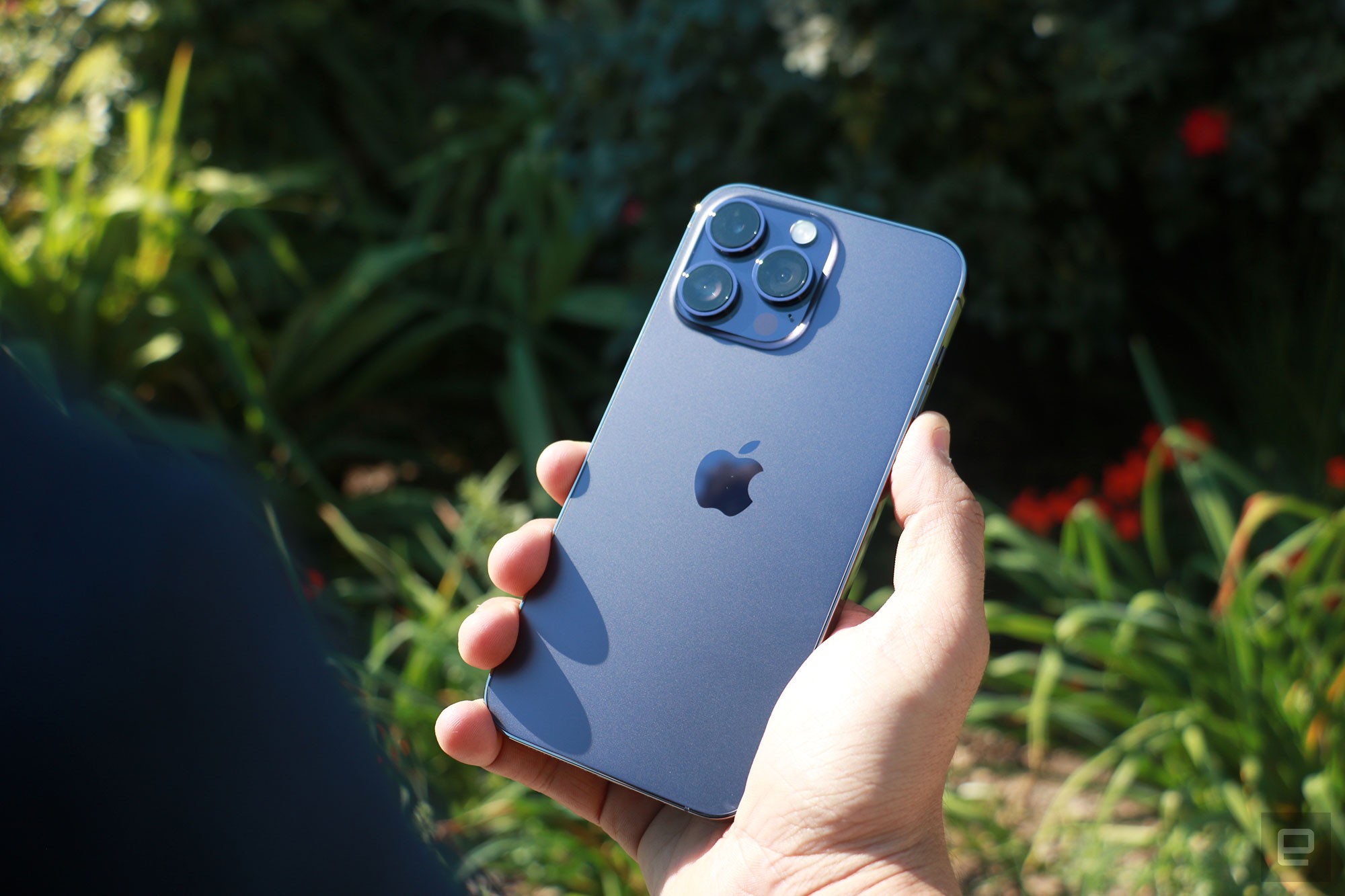 The iPhone 14 Pro Max held in front of some plants with its rear cameras facing up.