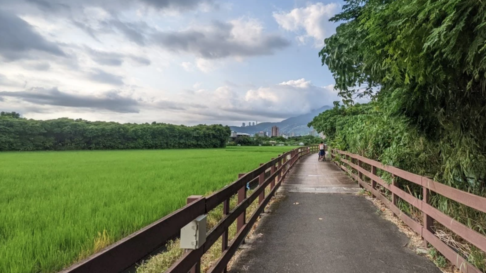 從不同角度看淡水河，除了有河畔景致、山景之外，更看得到稻田。 (來源：陳承璋)   