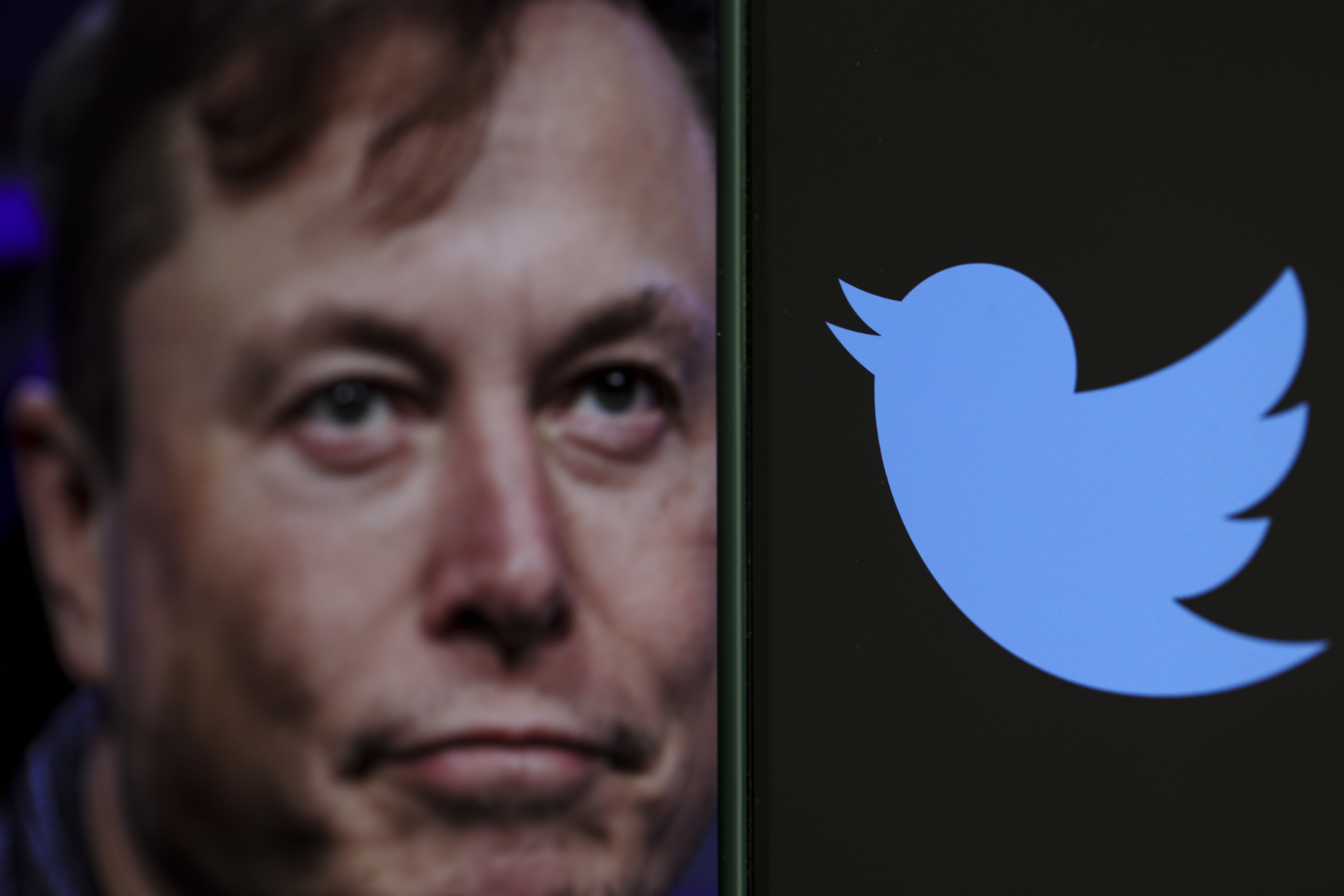Elon Musk tells Twitter employees that "bankruptcy is not out of the question"