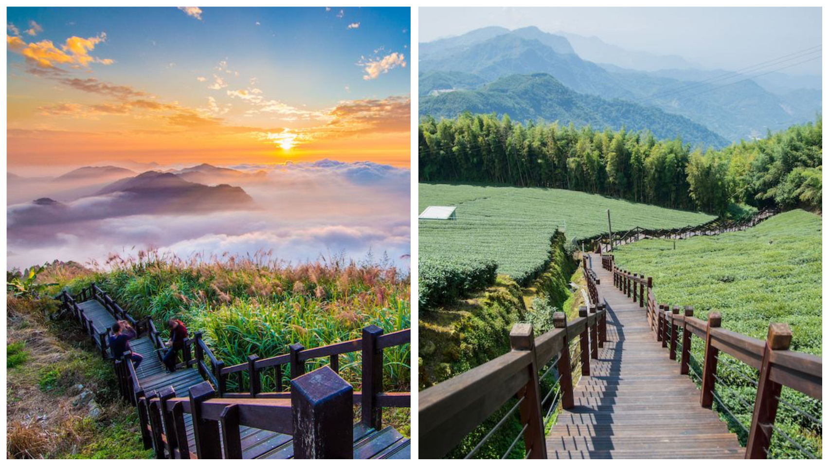 嘉義人氣登山步道（圖片來源：嘉義縣政府）