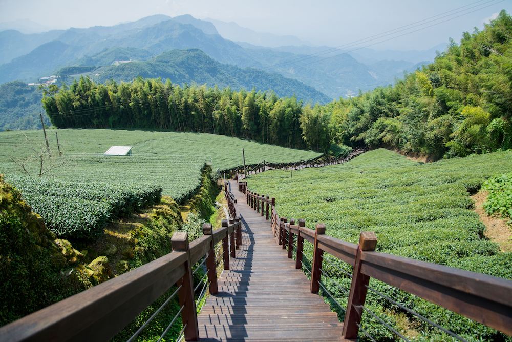 石棹步道群霞之道（圖片來源：嘉義縣政府）