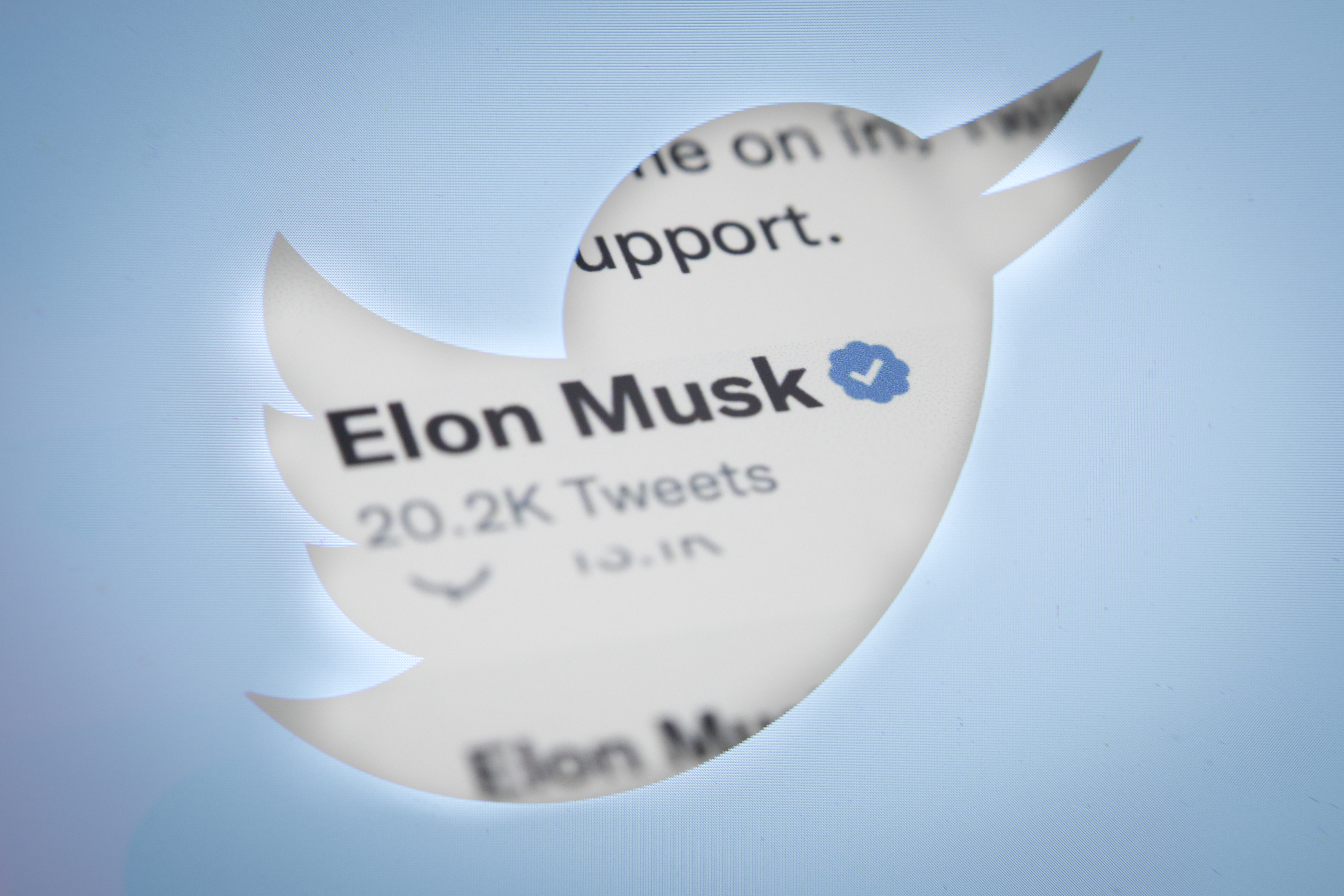 Elon Musk says Twitter Blue verification is coming back November 29th