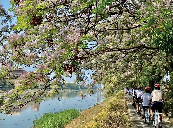 山海圳國家綠道（圖片來源：台南旅遊網）