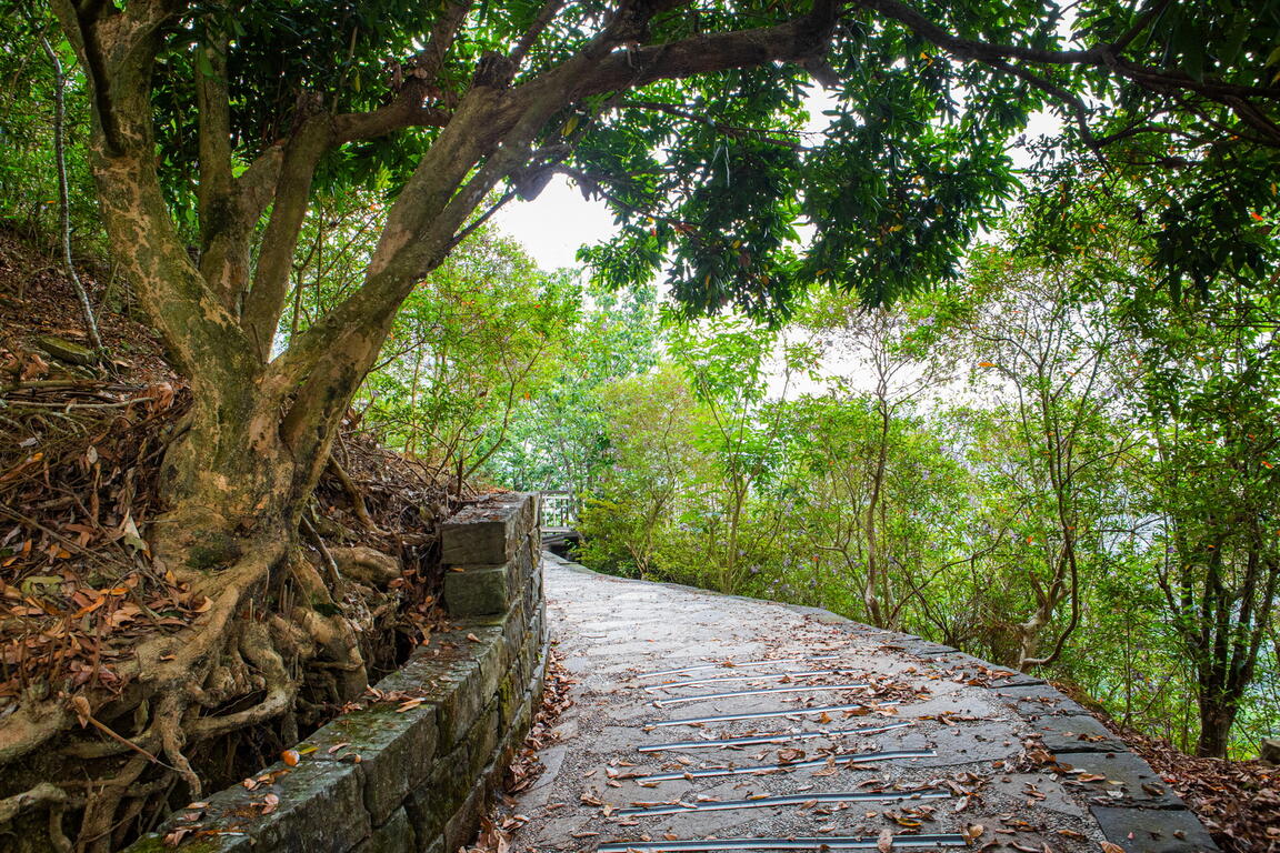 伍龍步道（圖片來源：台南旅遊網）