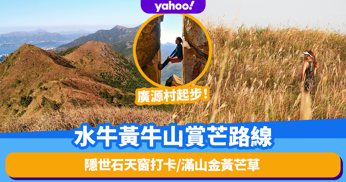 Buffalo and Huangniu Mountain autumn tour and Mount Mang route appreciation start in Guangyuan village! Hidden world stone skylight check-in / golden miscanthus all over the mountain / panoramic view of Baishawan in Shatian