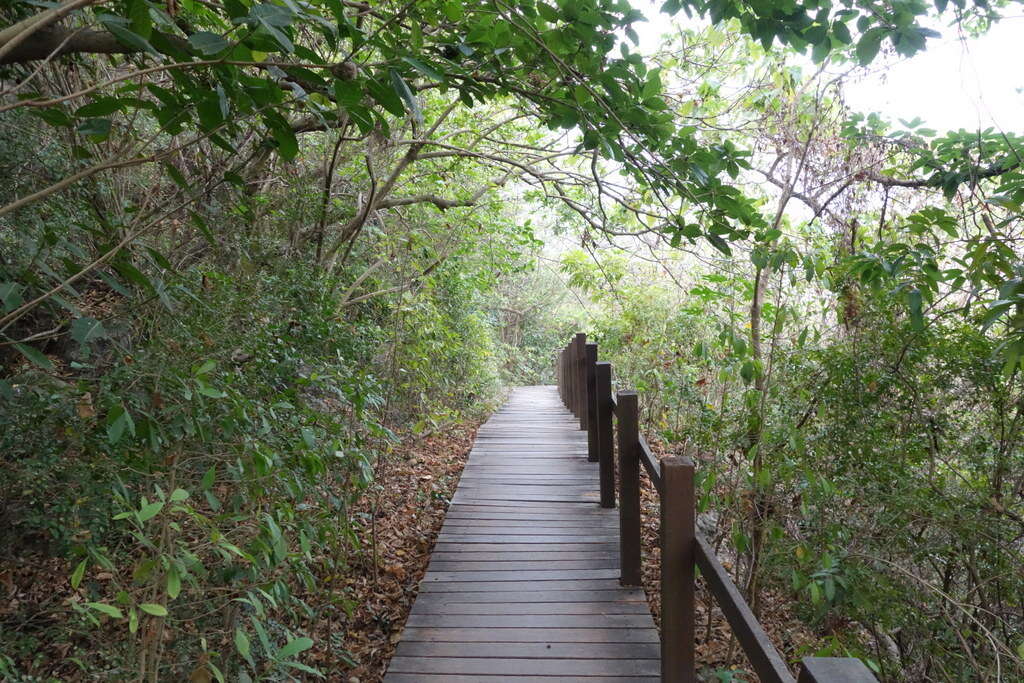 半屏山自然公園（圖片來源：高雄旅遊網）