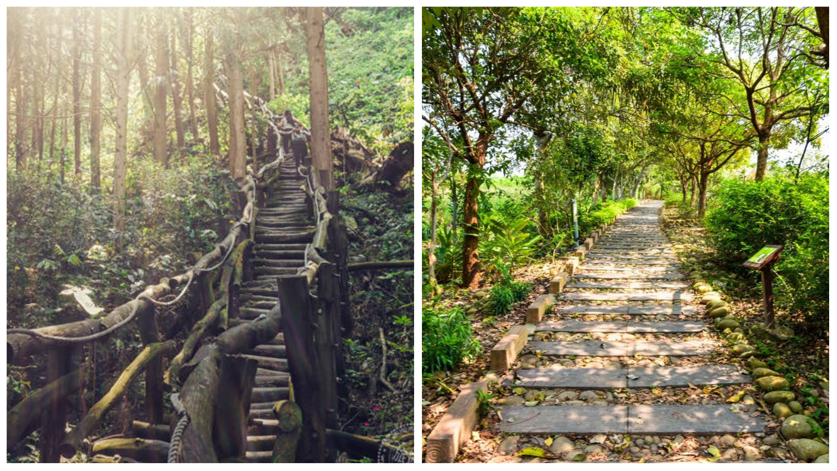 優美的山林風景（圖片來源：台中觀光旅遊網）