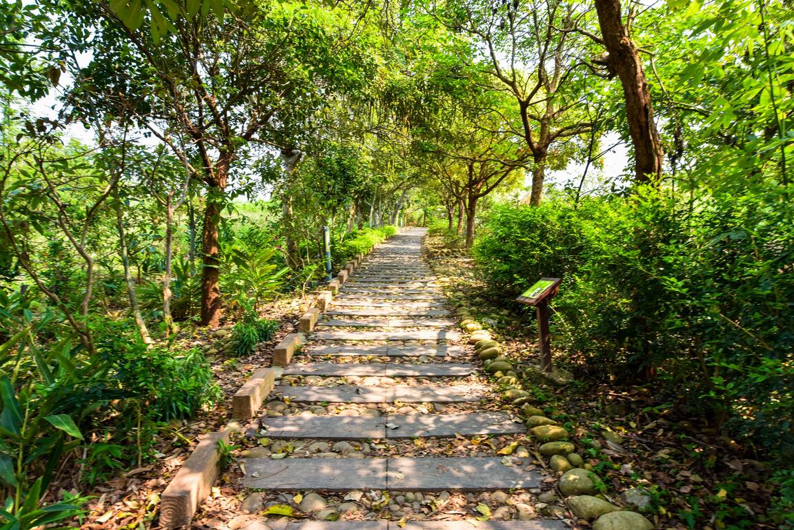 竹坑南寮登山步道（圖片來源：台中觀光旅遊網）