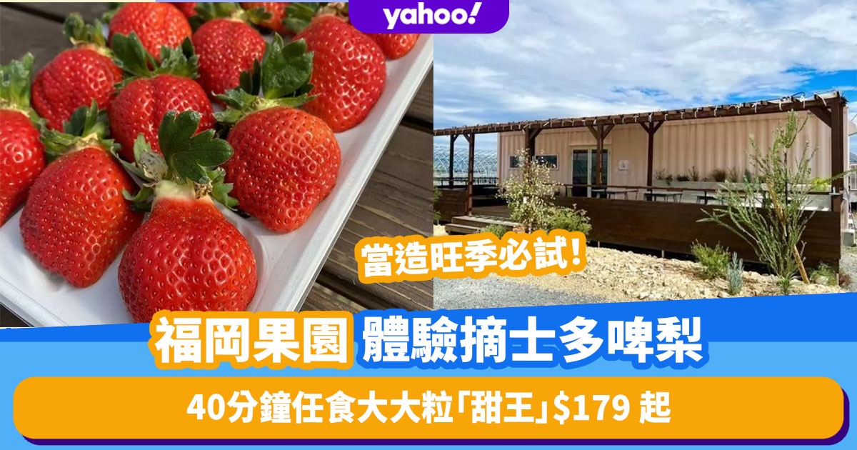 Japan Travel｜Fukuoka Orchard Free Picking Strawberry as low as 9 for a limited time! 40-minute all-you-can-eat large “Sweet King” strawberries