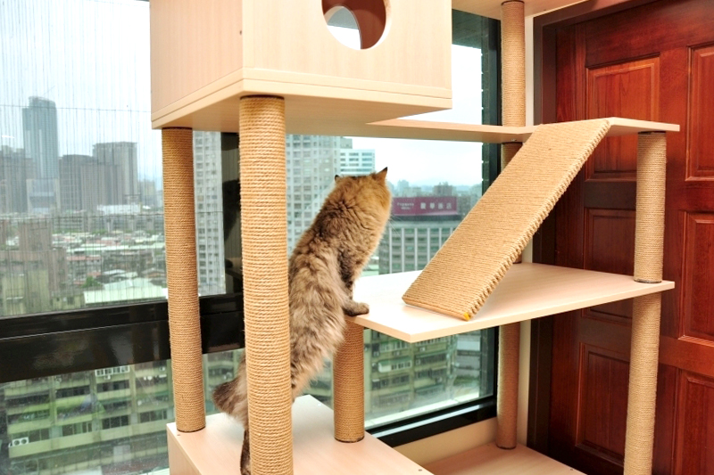 家不在大，有窗就行，圖片由Momocat摸摸貓提供
