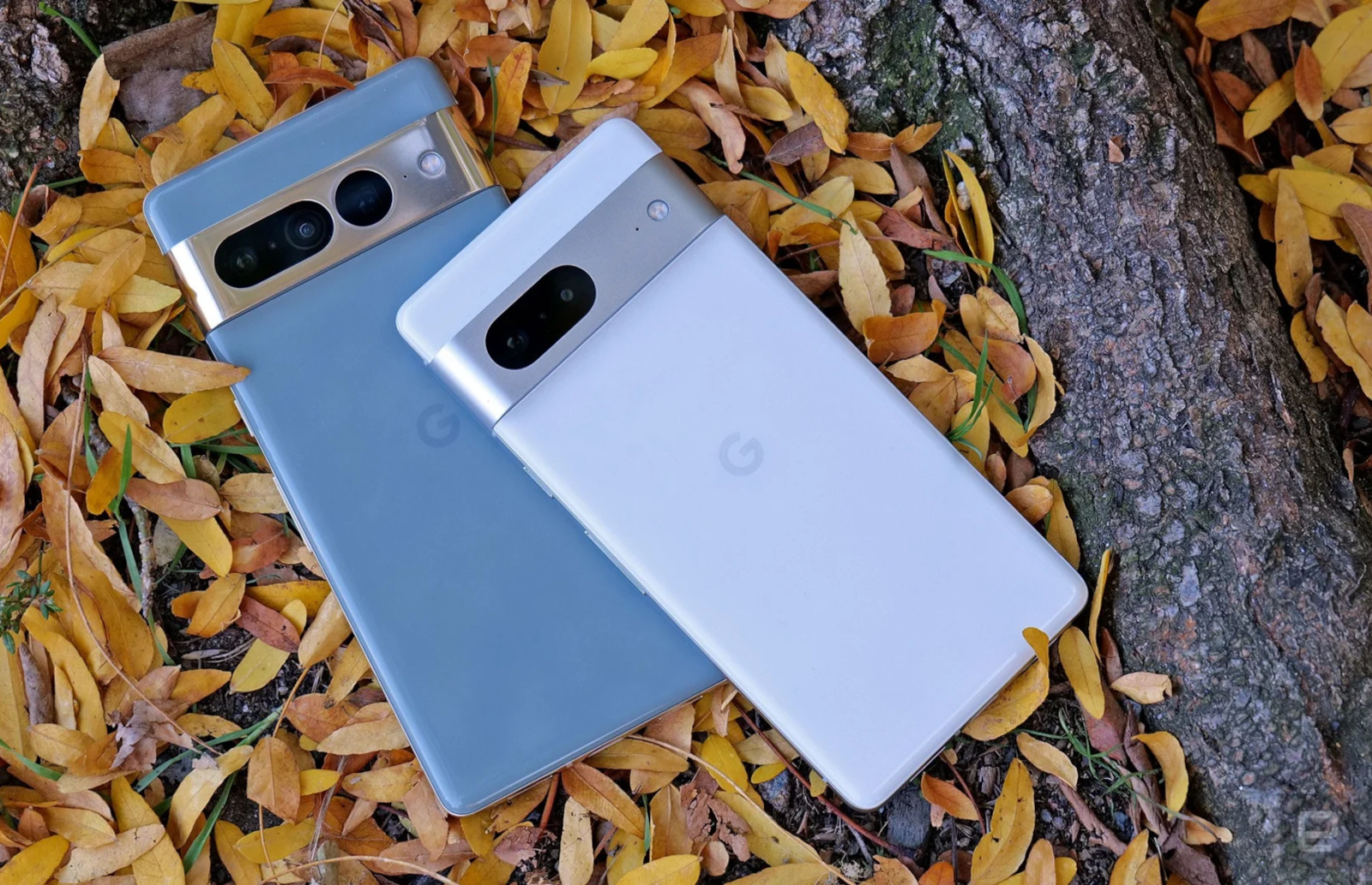Google brings spatial audio to Pixel 7 and Pixel 6
phones