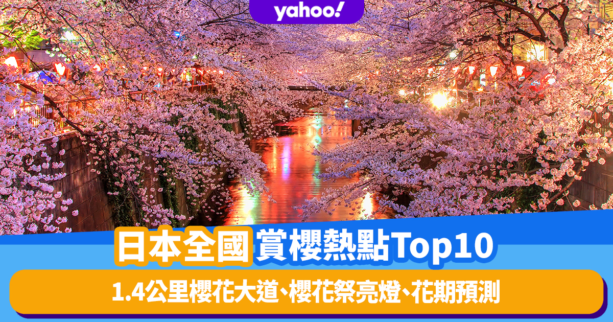 Japan Cherry Blossom 2023｜Top 10 cherry blossom viewing hotspots in Japan! 1.4km cherry blossom avenue, cherry blossom festival lighting, flowering forecast