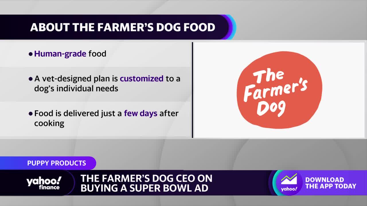 Infographic: Are Super Bowl Ads Still Worth It?