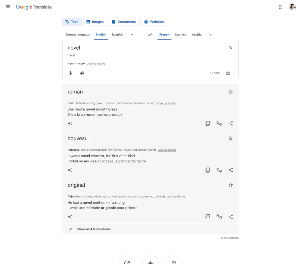 A screenshot of Google Translate, showing multiple French translation suggestions for the word 
