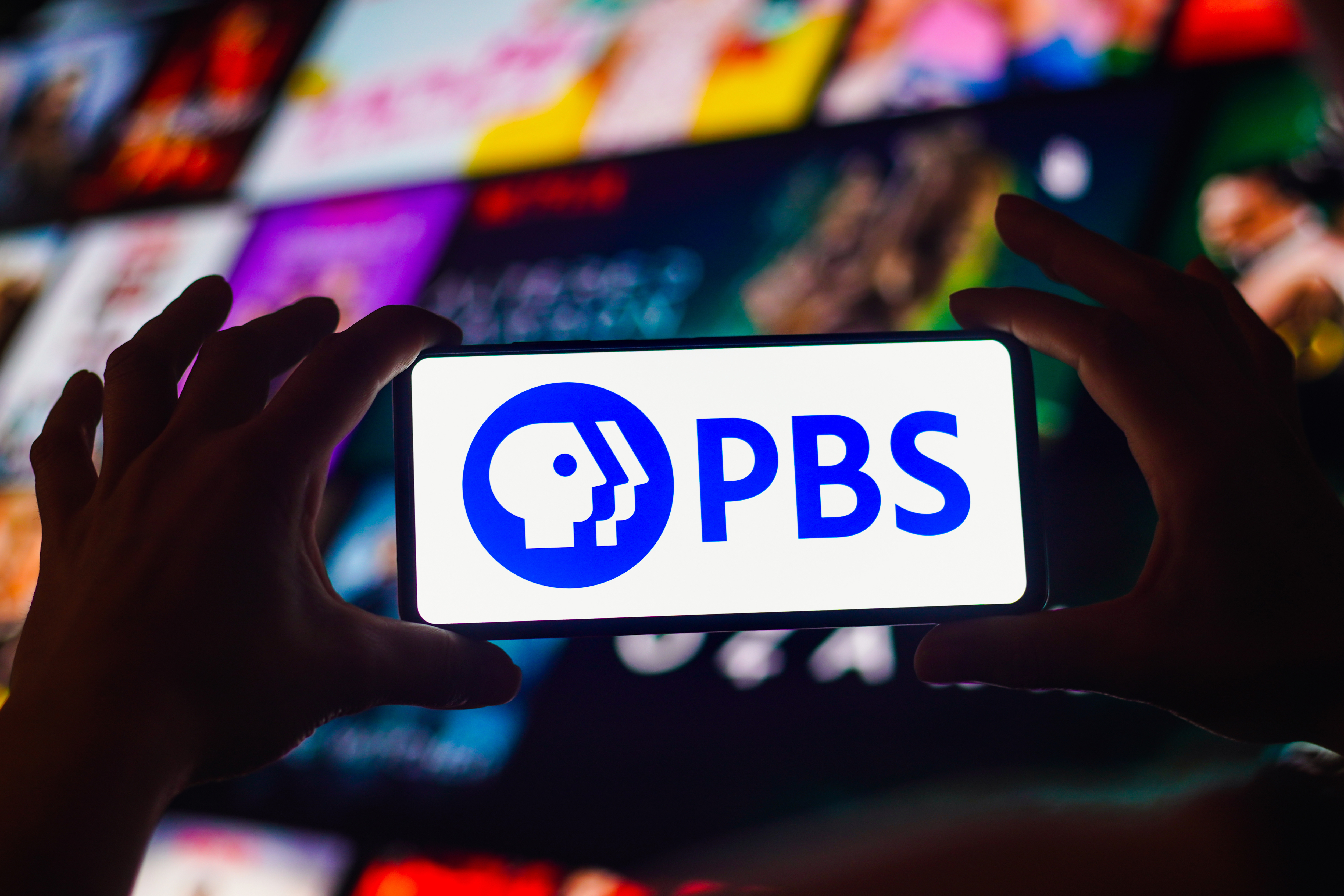 PBS also quit Twitter because of its 'government-funded media' label.