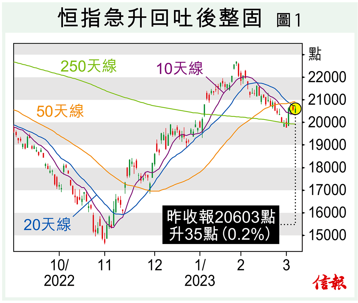 新作販売中七師十二帖口決savagewing.com