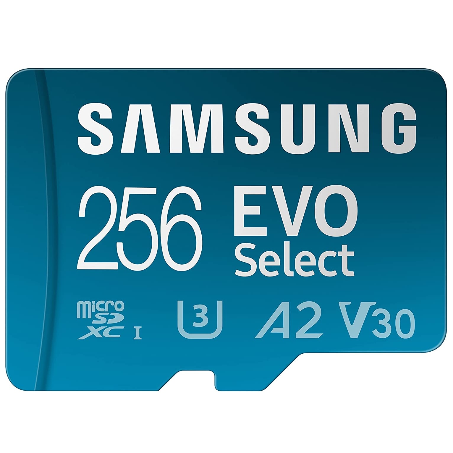 Samsung Evo Select (256GB)