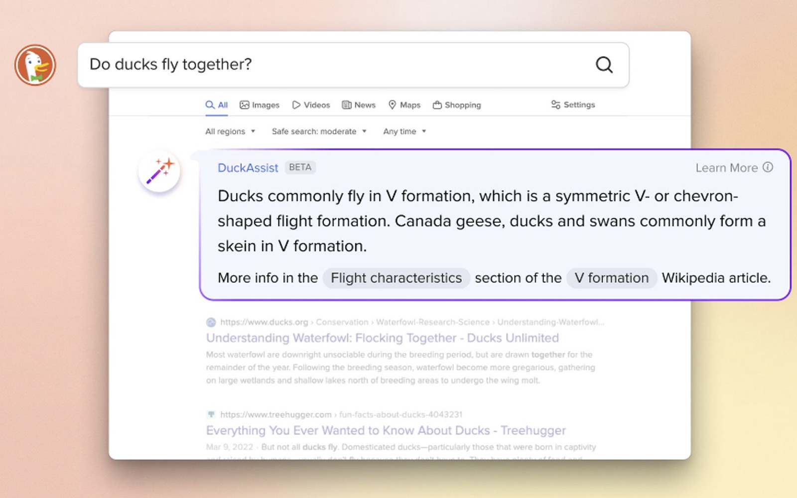 DuckDuckGo's AI assist feature summarizes Wikipedia pages to answer search queries