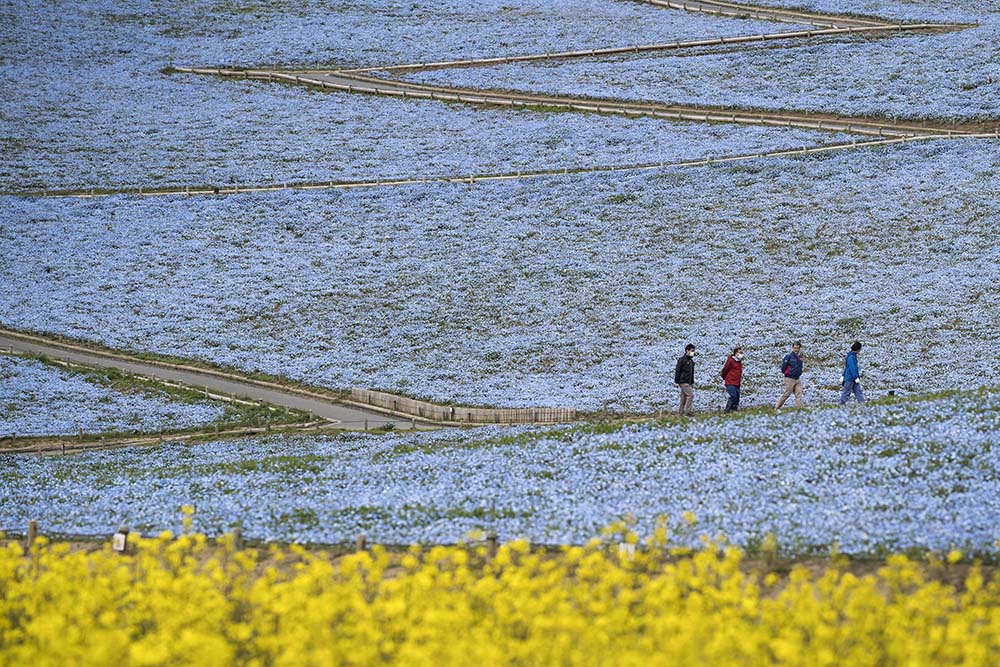 國營長陸海濱公園（Photo by Tomohiro Ohsumi, Image Source : Getty Editorial）