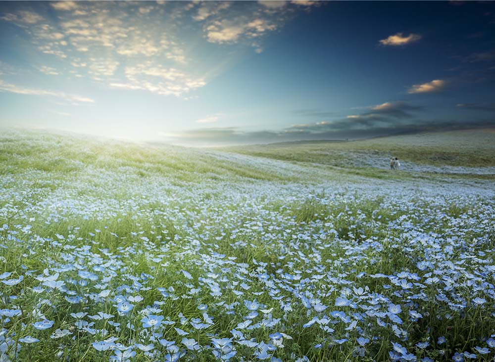 國營長陸海濱公園（Image Source : Getty Creative/iStockphoto）