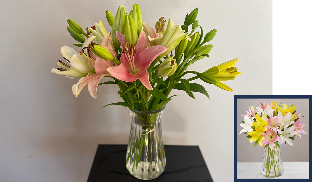 Lilies delivered from 1-800-Flowers. Inset of site's photo. 