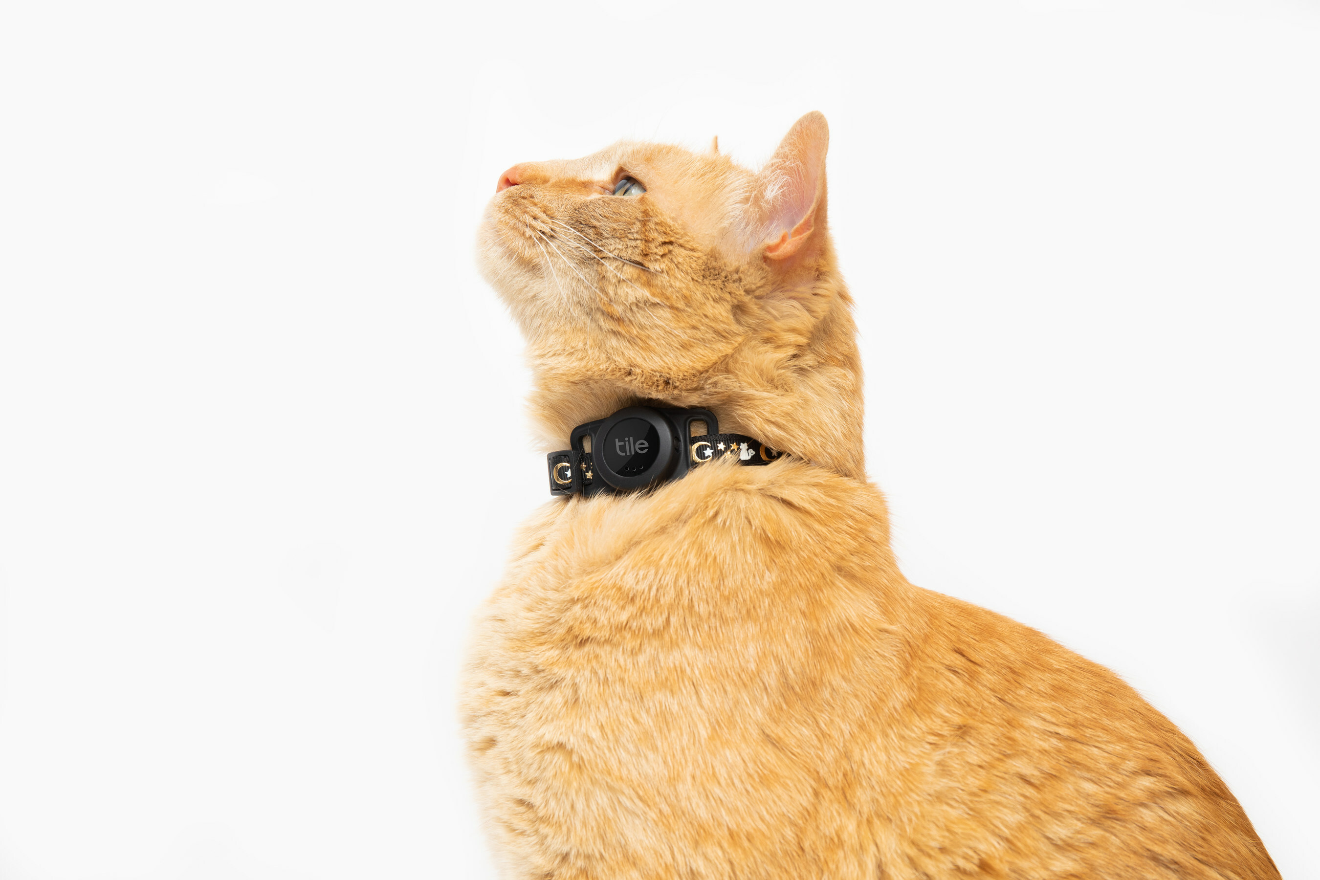 Tile's latest accessory helps track your cat