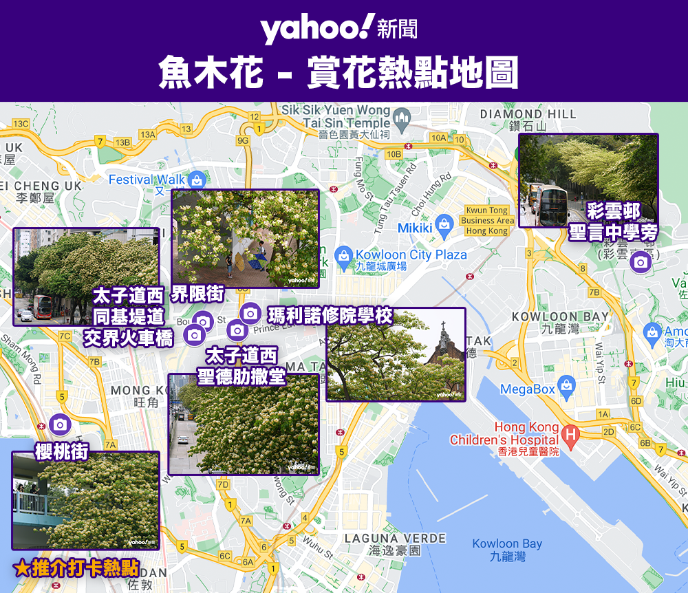 “Discover the Best Flower Viewing Hotspots with Yahoo Photo Gallery’s Full Bloom of Prince Yumuhua in the Sea of Flowers Welcoming the Summer”