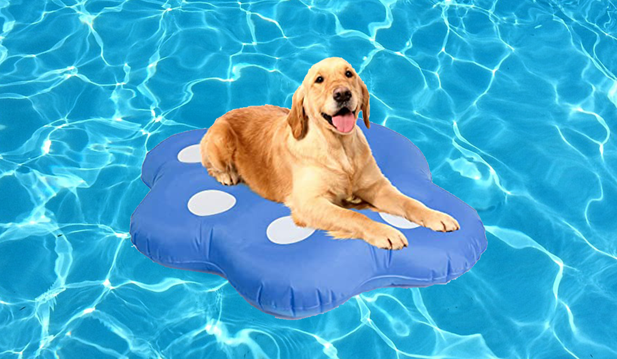 Pool Candy Inflatable Ride-On Pool Float for Pets (Up to 35 Pounds)