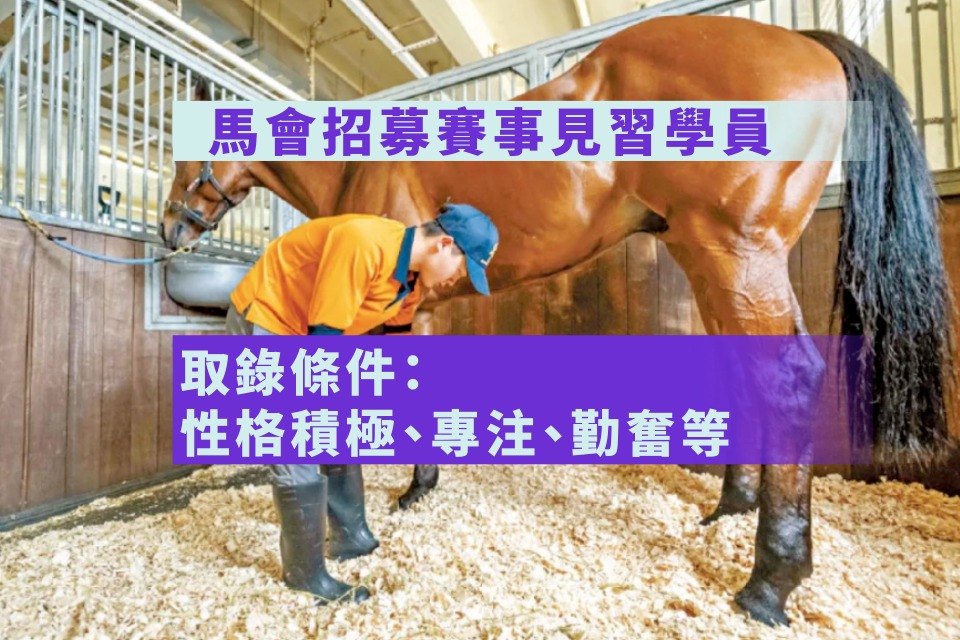 Become a Racing Apprentice: Hong Kong Jockey Club’s Training Program for Horse Racing Talents