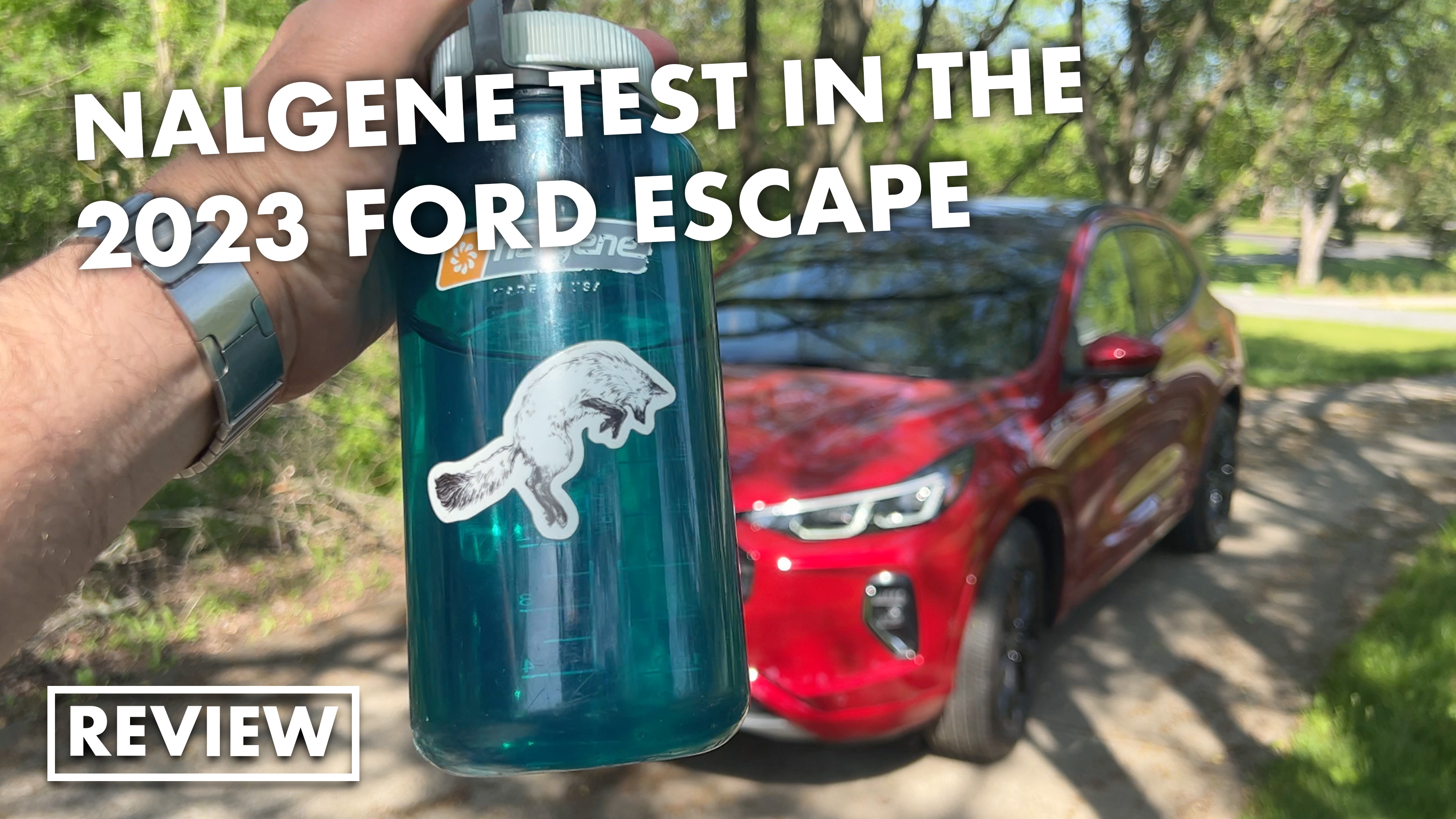 2024 Ford Escape Review: Easy to like, but space and price are