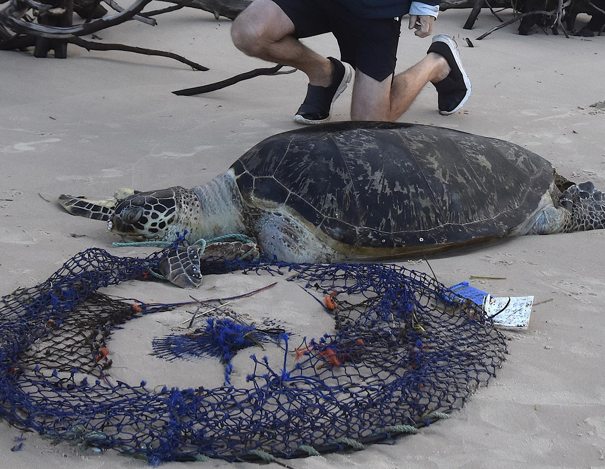 Group to retrieve lost crab pots, save marine wildlife