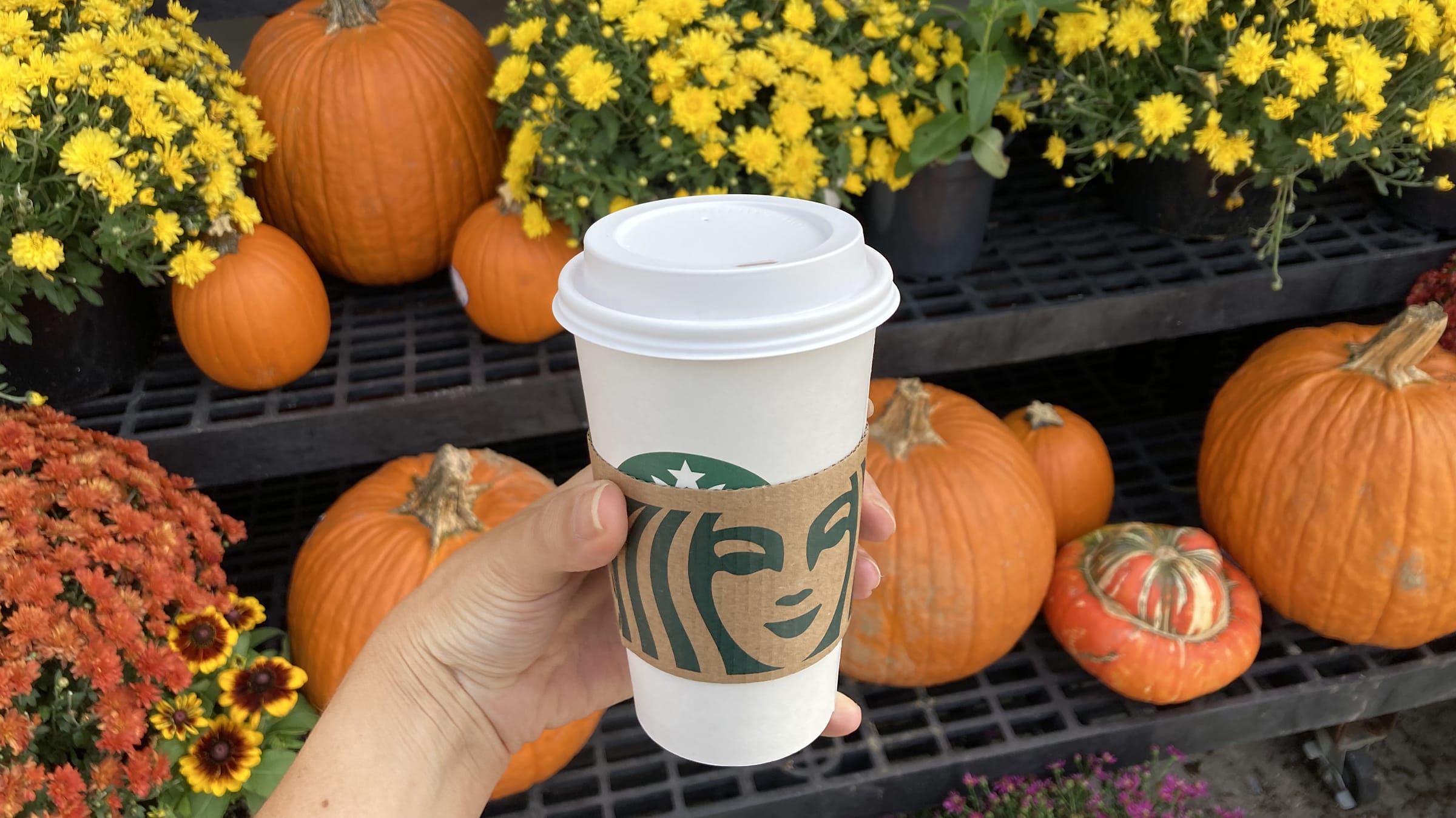 Starbucks' iconic Pumpkin Spice Latte has a return date and is celebrating  its 20th anniversary 