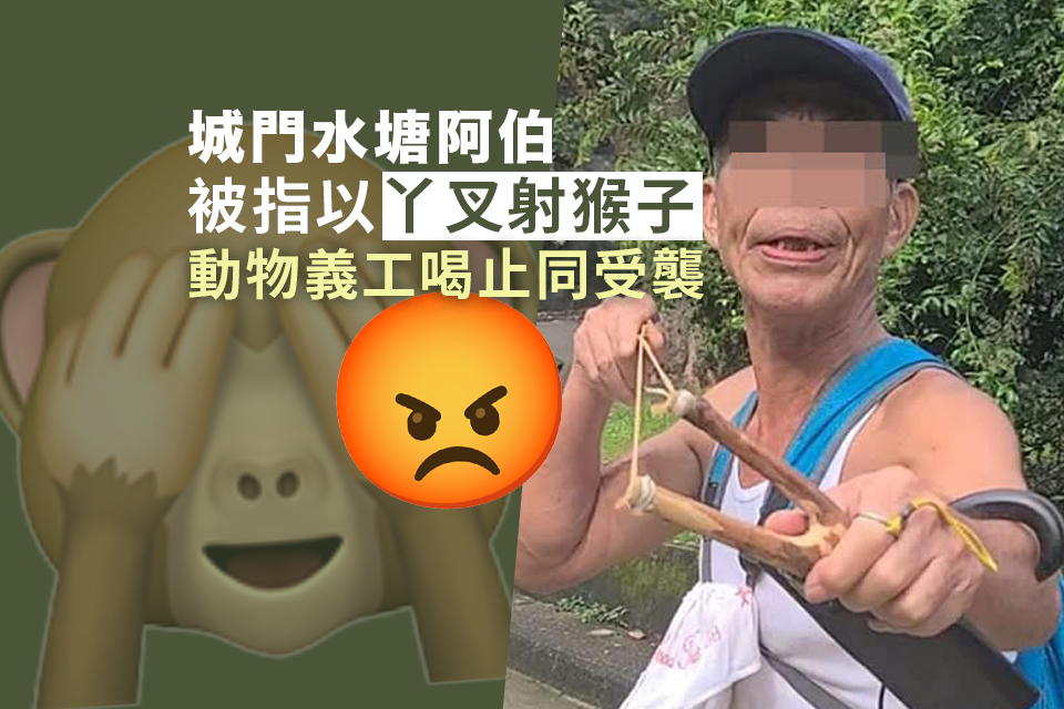 Uncle Accused of Animal Attack with Fork at Shing Mun Reservoir