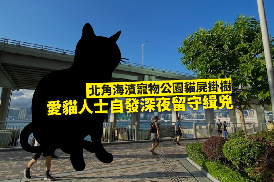 Horrific Case of Animal Cruelty at North Point Promenade Gardens Pet Park: Cat Found Hanging from Tree