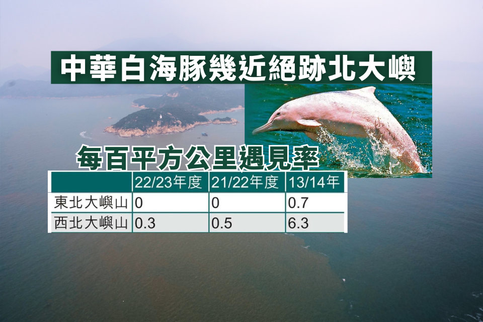 Marine Mammal Monitoring Report 2022-23: Chinese White Dolphin Population Increases in Hong Kong