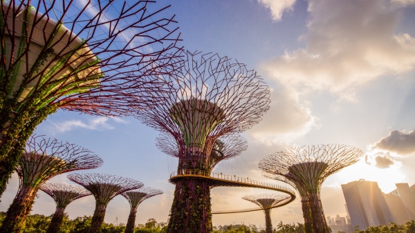 如果只能選一個地點，那肯定就是濱海灣花園Gardens by the Bay。圖片取自：新加坡旅遊局