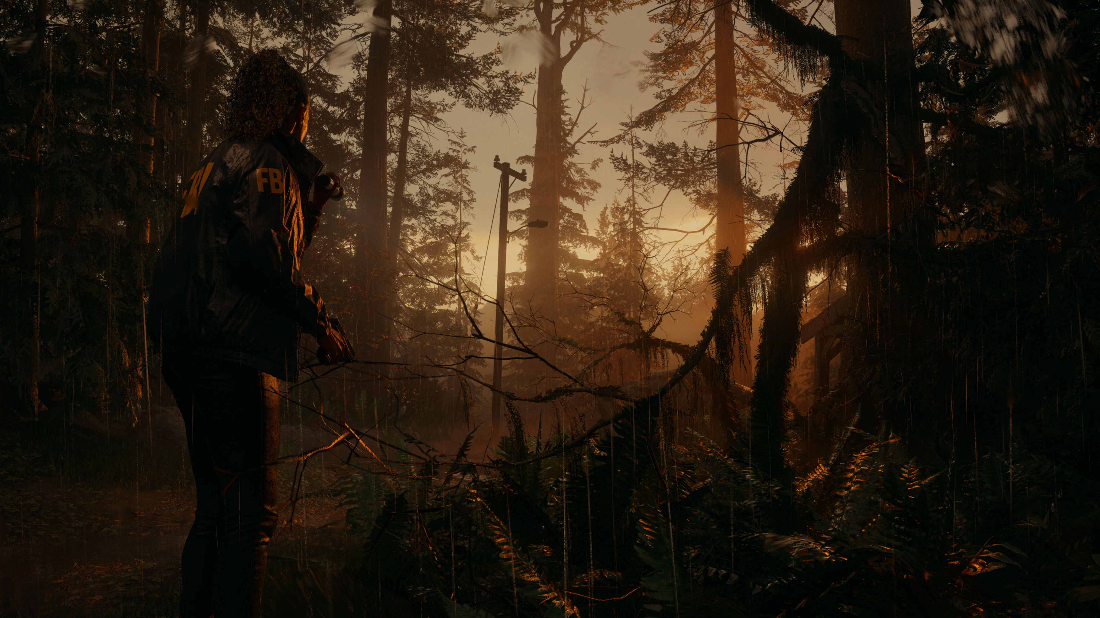 Alan Wake II is nice, but it surely doesn't want weapons