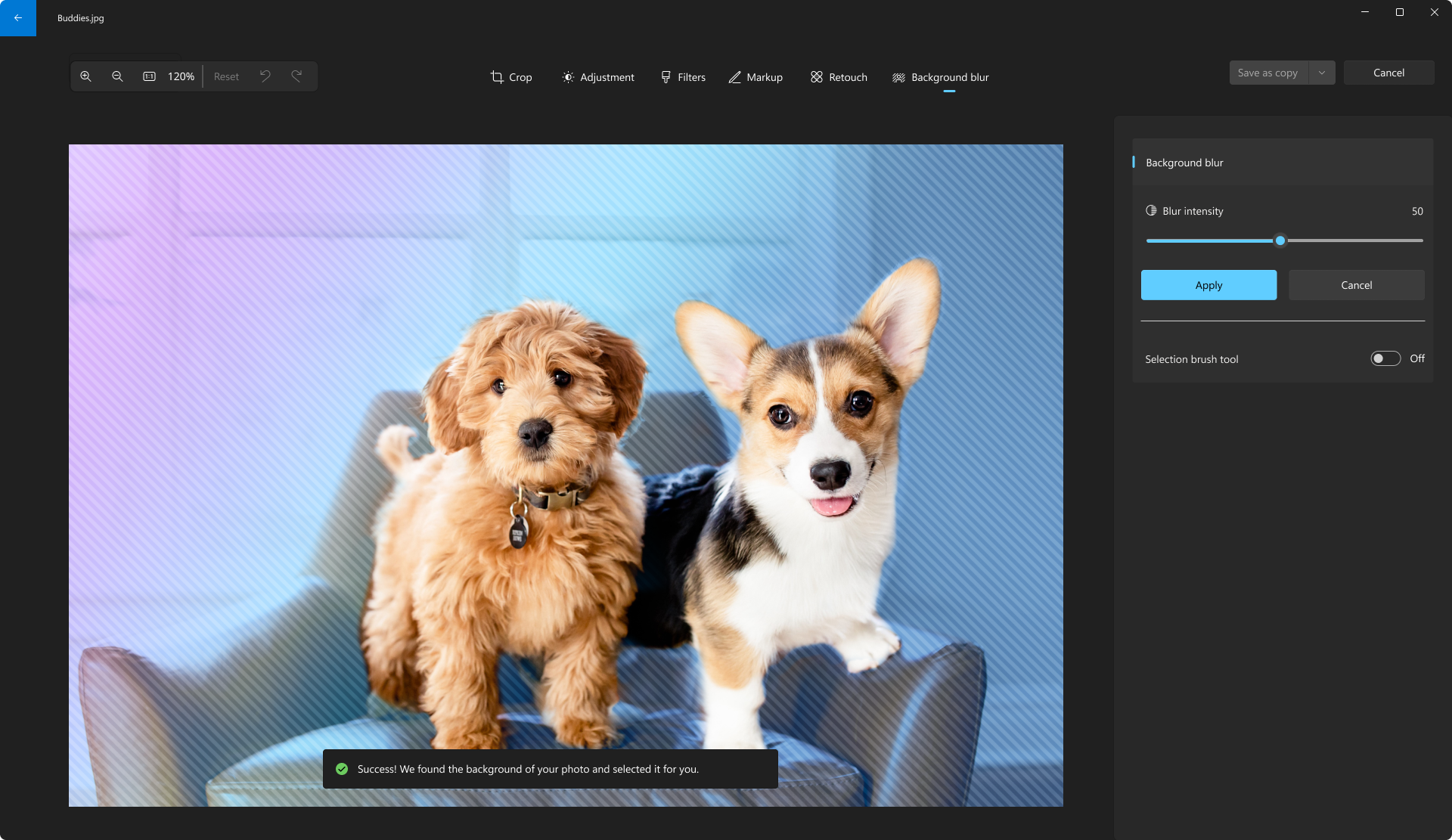 The Background Blue feature in Windows 11's Photos app, showing two dogs on a chair against a blurred background.