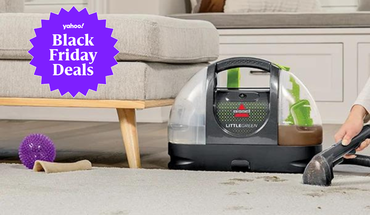 Bissell vs Black & Decker Cordless Carpet Spot Cleaner Pet Stain